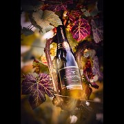 Secondery Martel Prestige Brut life1.jpg